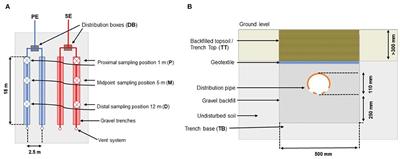 Spatial Variation of the Microbial Community Structure of On-Site Soil Treatment Units in a Temperate Climate, and the Role of Pre-treatment of Domestic Effluent in the Development of the Biomat Community